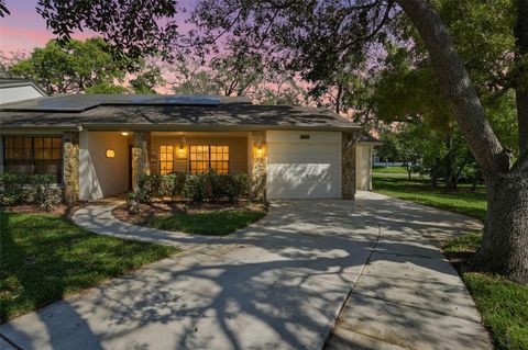 Photo of 6630 Brambleleaf Drive, Spring Hill, FL 34606 (MLS # TB8489202)