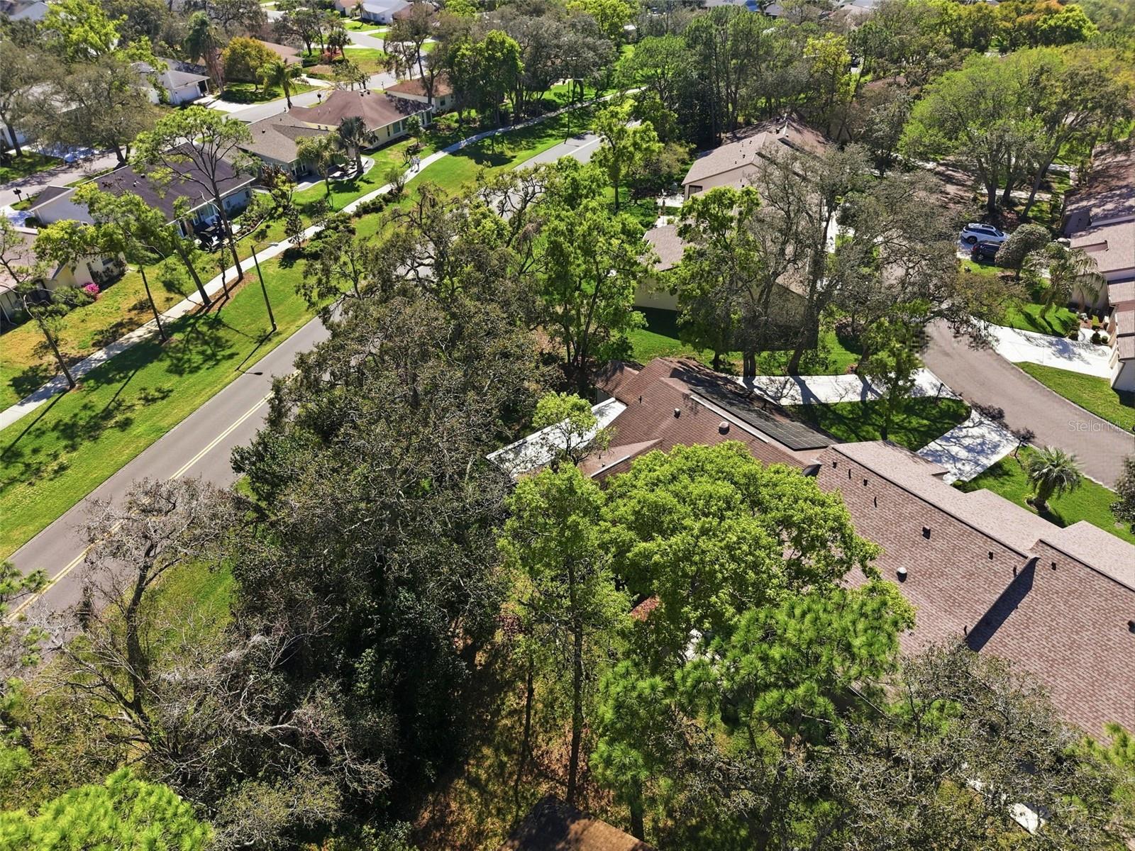 TIMBER PINES - Residential