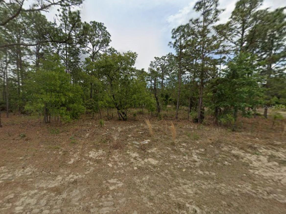 CITRUS SPGS UNIT 07 - Land