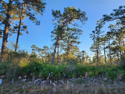 CAMELLIA DRIVE INDIAN LAKE ESTATES FL 33855