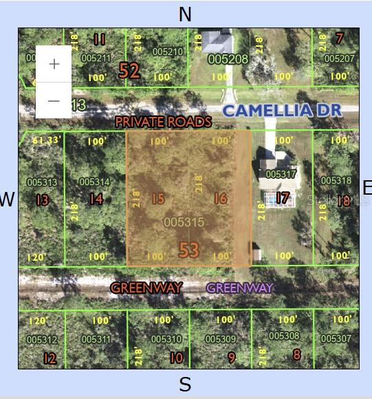 CAMELLIA DRIVE
