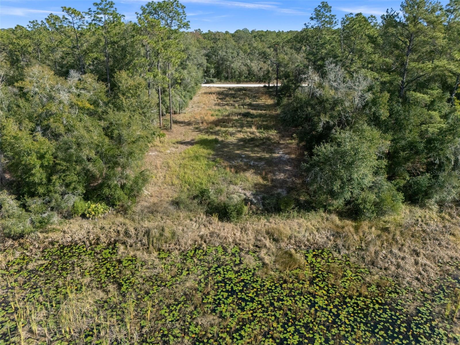 RIDGE MANOR ESTATE - Land
