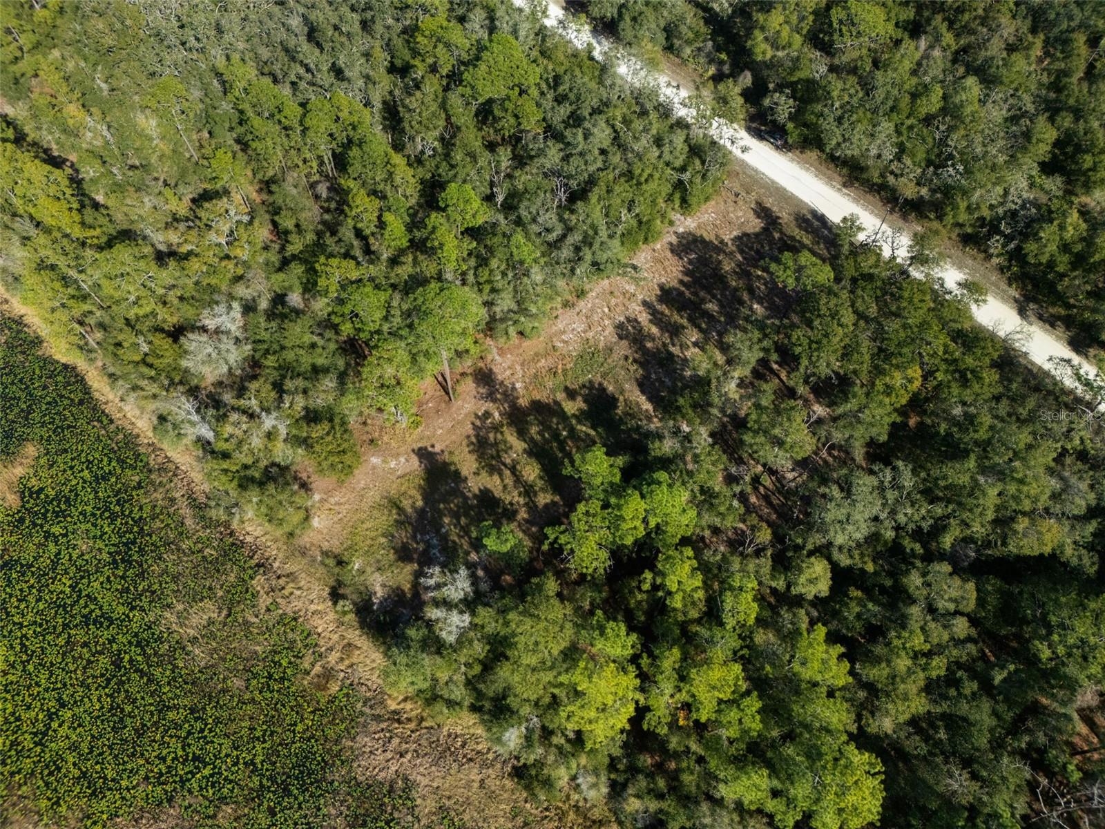 RIDGE MANOR ESTATE - Land