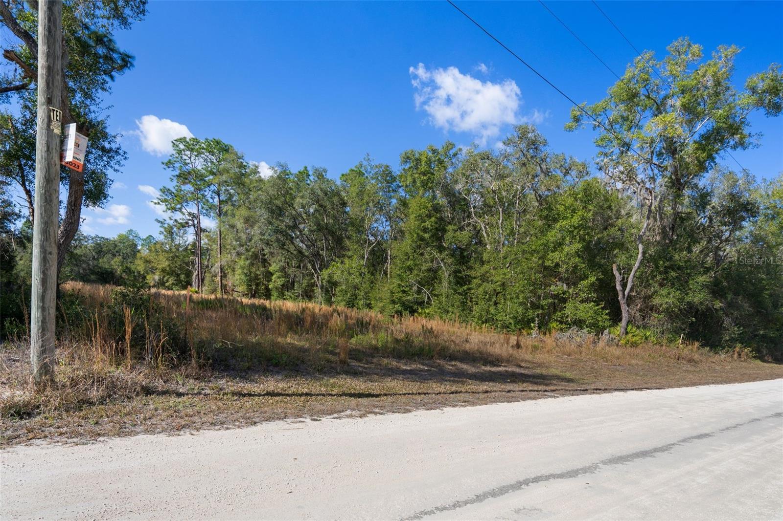 RIDGE MANOR ESTATE - Land