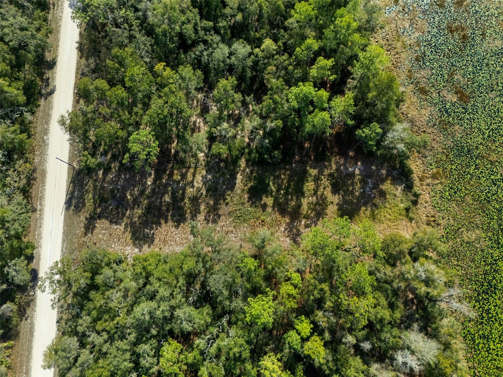 RIDGE MANOR ESTATE - Land