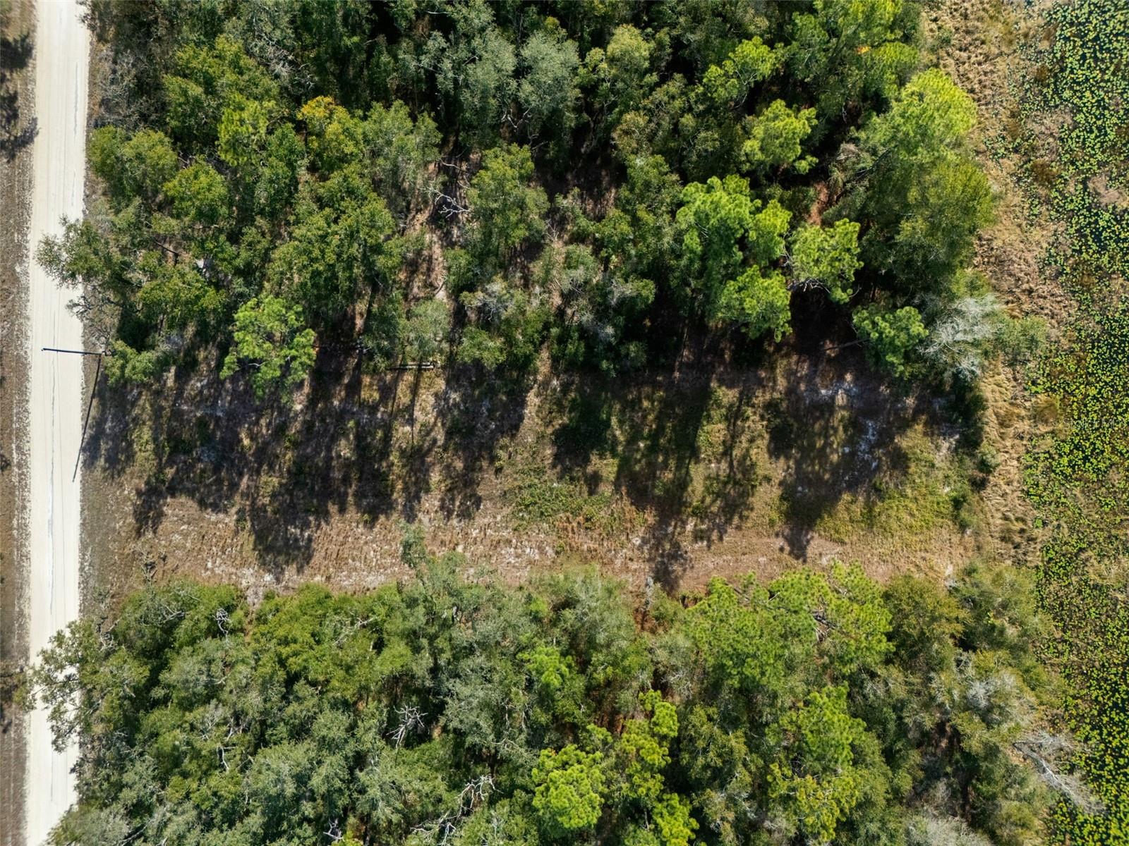 RIDGE MANOR ESTATE - Land