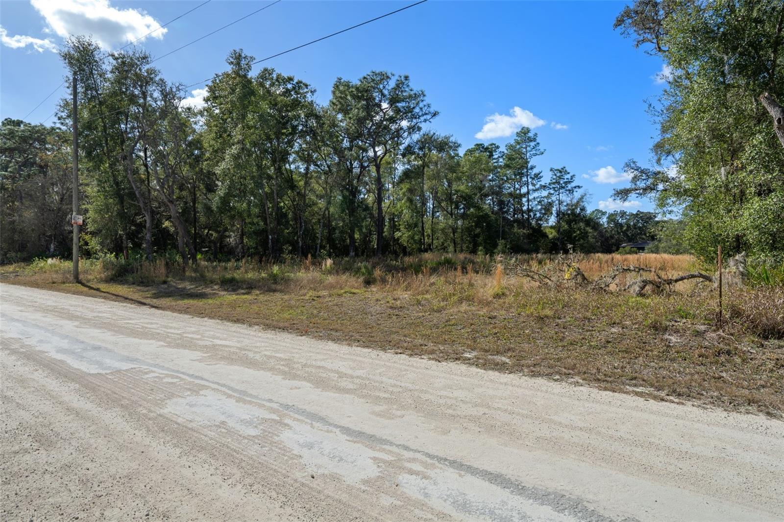 RIDGE MANOR ESTATE - Land