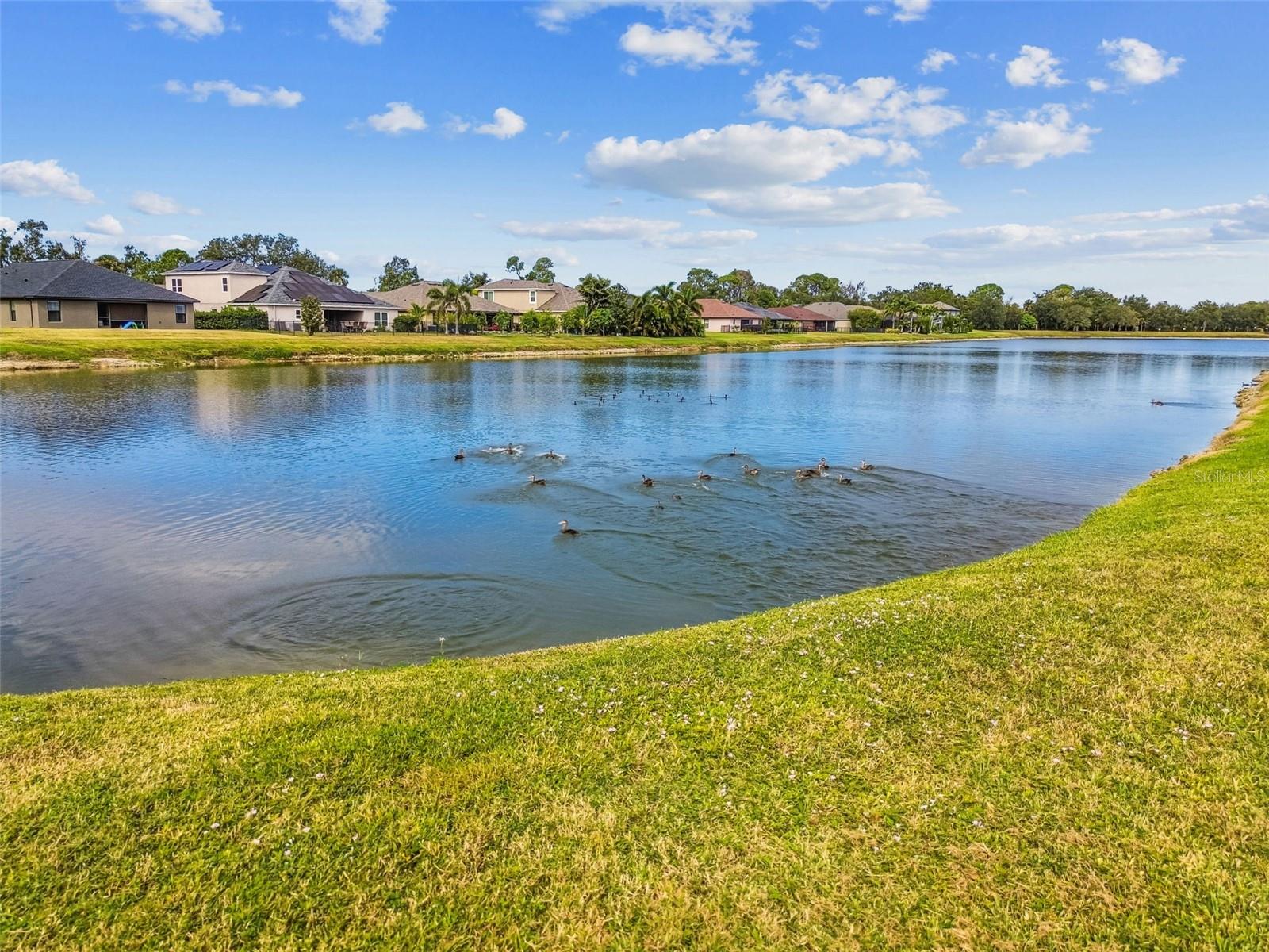 WOODS OF MOCCASIN WALLOW PH II - Residential