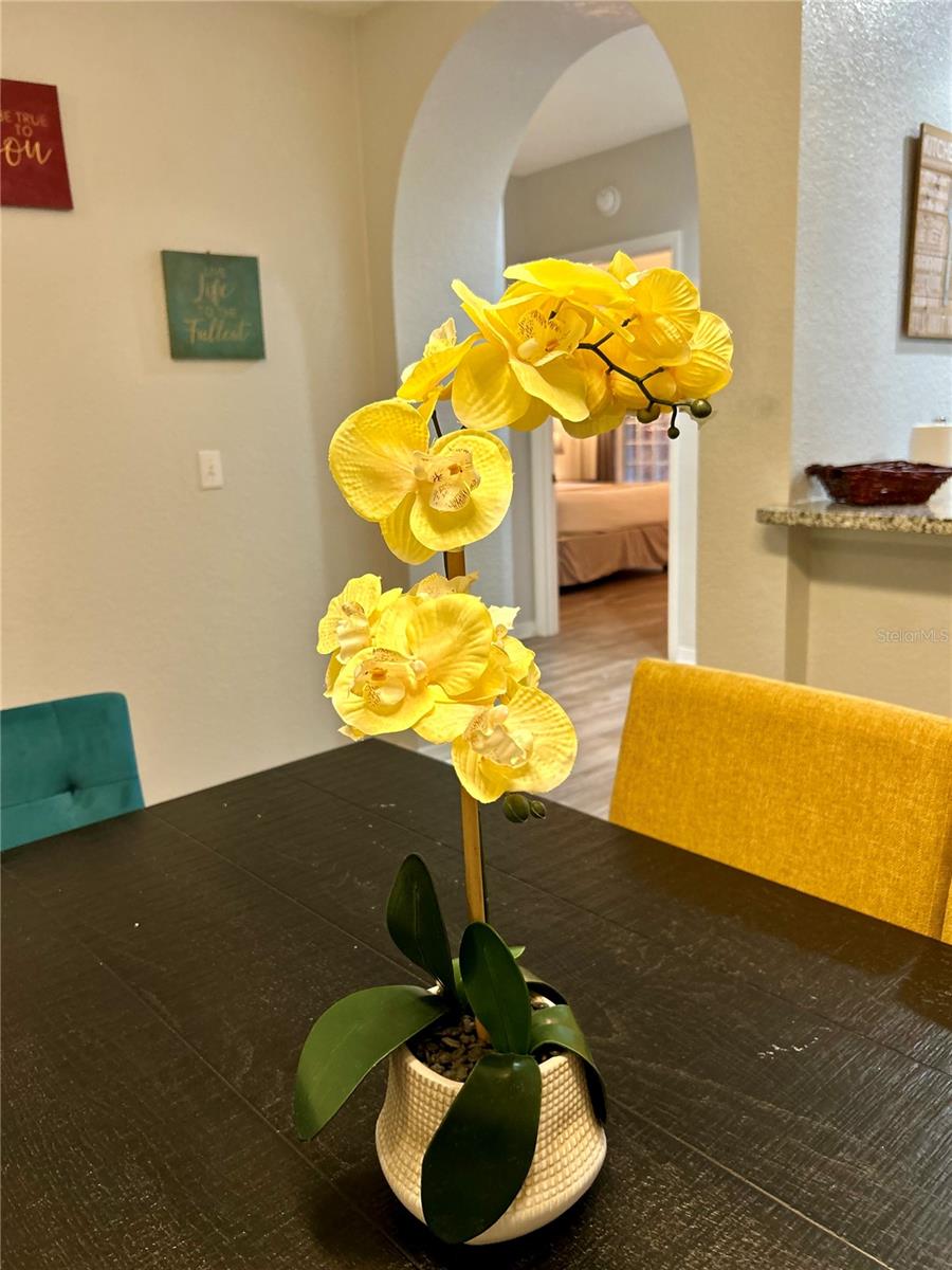 CARIBE COVE CONDO - Residential