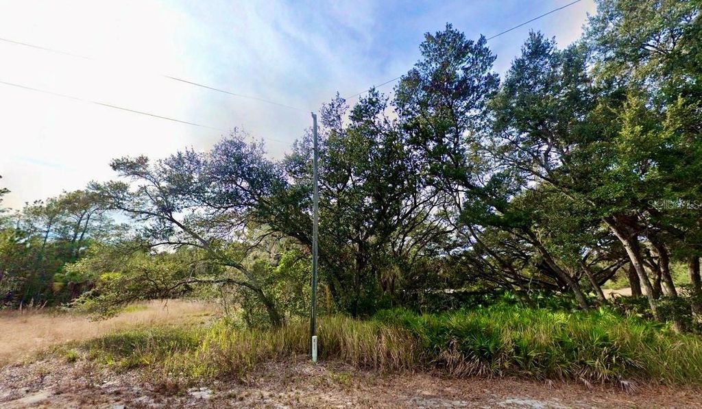 Photo of 175 Fisher Ln Court, Ocklawaha, FL 32179 (MLS # A4693543)