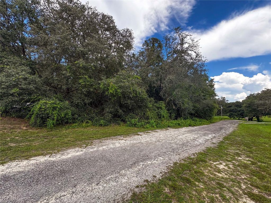 Photo of Tbd SW 134 Ter, Dunnellon, FL 34432 (MLS # OM707464)