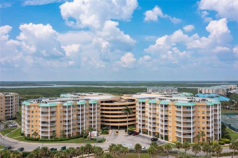 A home in PONCE INLET