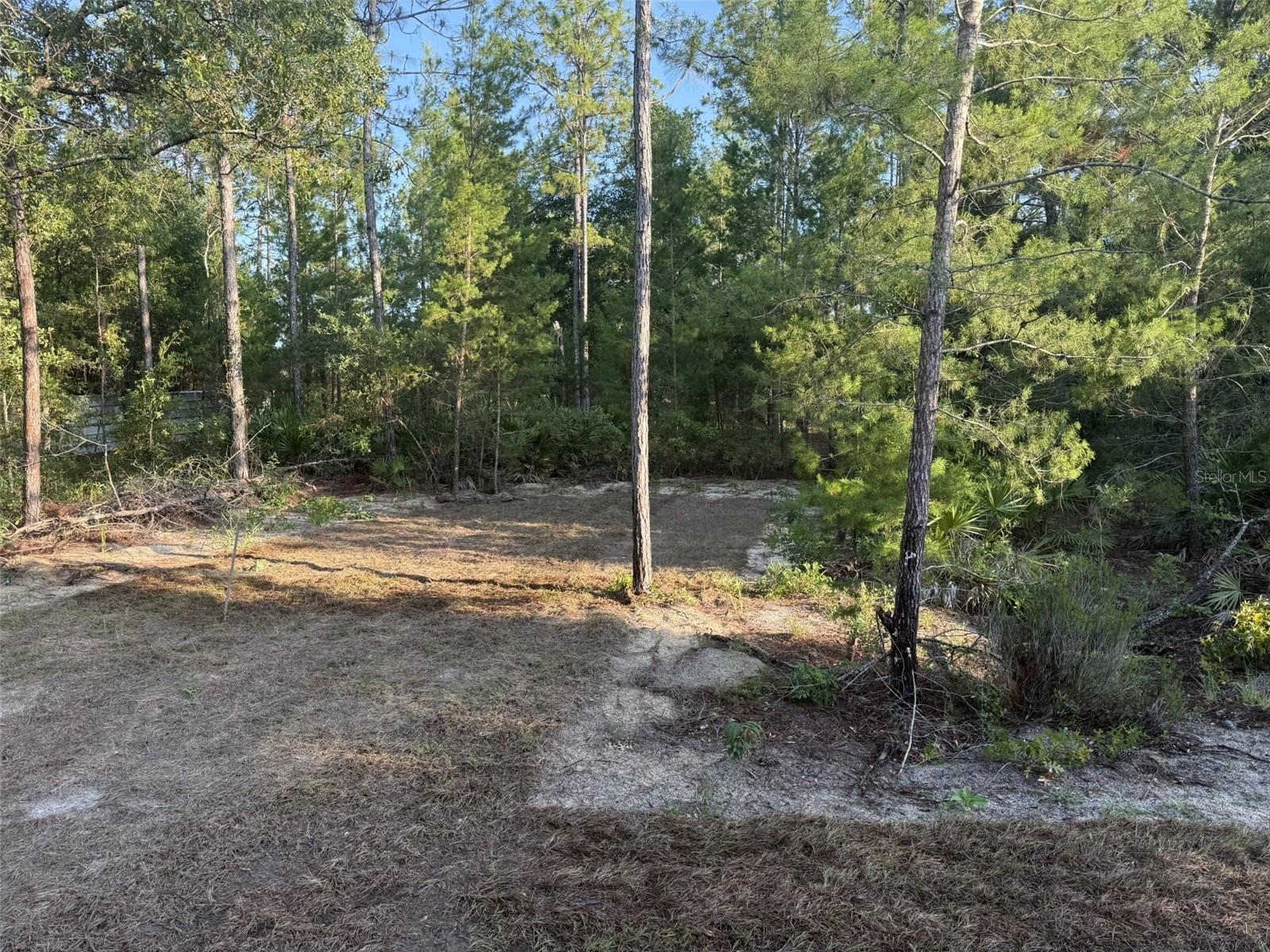 NOT IN SUBDIVISION - Residential