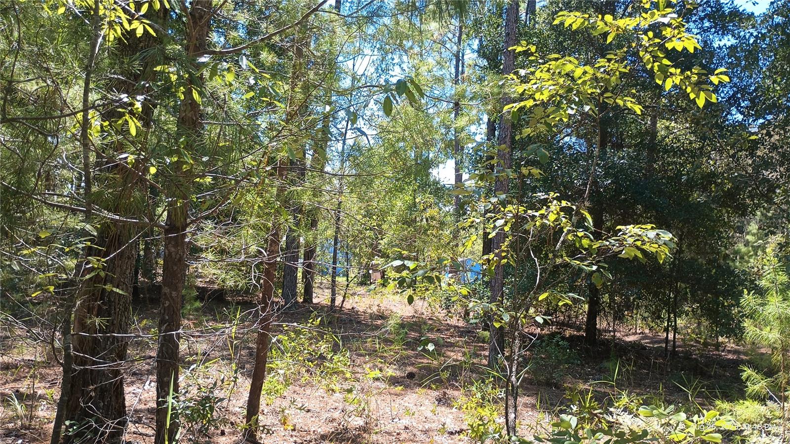 NOT IN SUBDIVISION - Residential