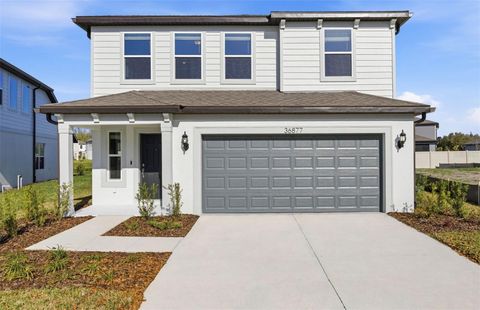 36877 RIO GRANDE DRIVE ZEPHYRHILLS FL 33540