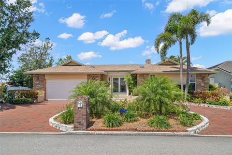 852 3RD AVE S TIERRA VERDE FL 33715