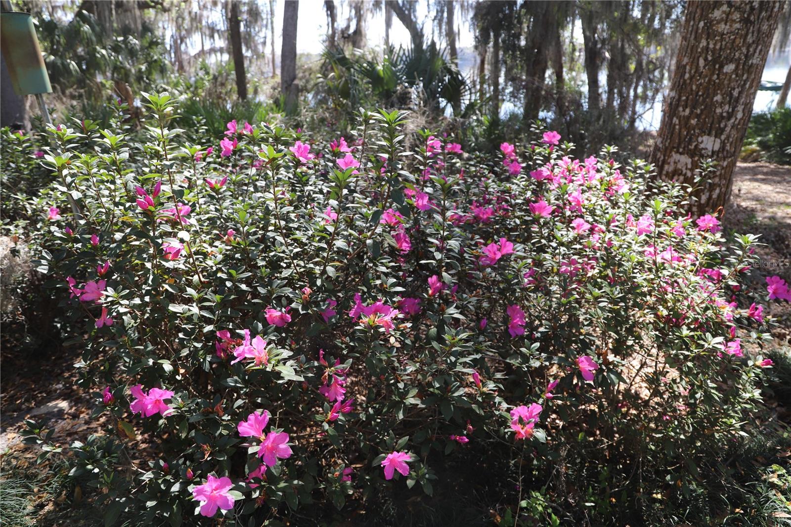 REDWATER LAKE ESTATES - Residential