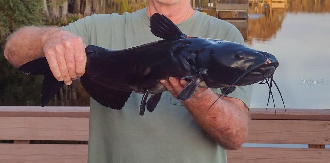 REDWATER LAKE ESTATES - Residential