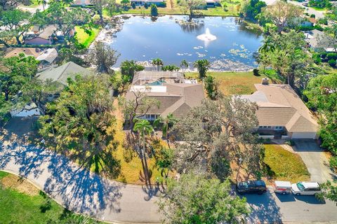 A home in SARASOTA