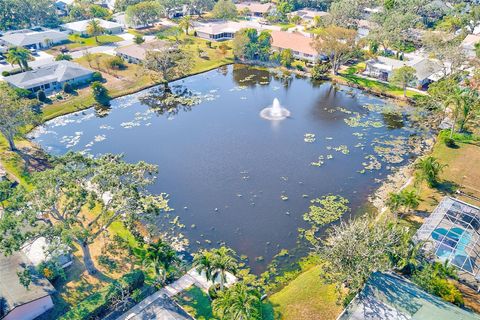 A home in SARASOTA