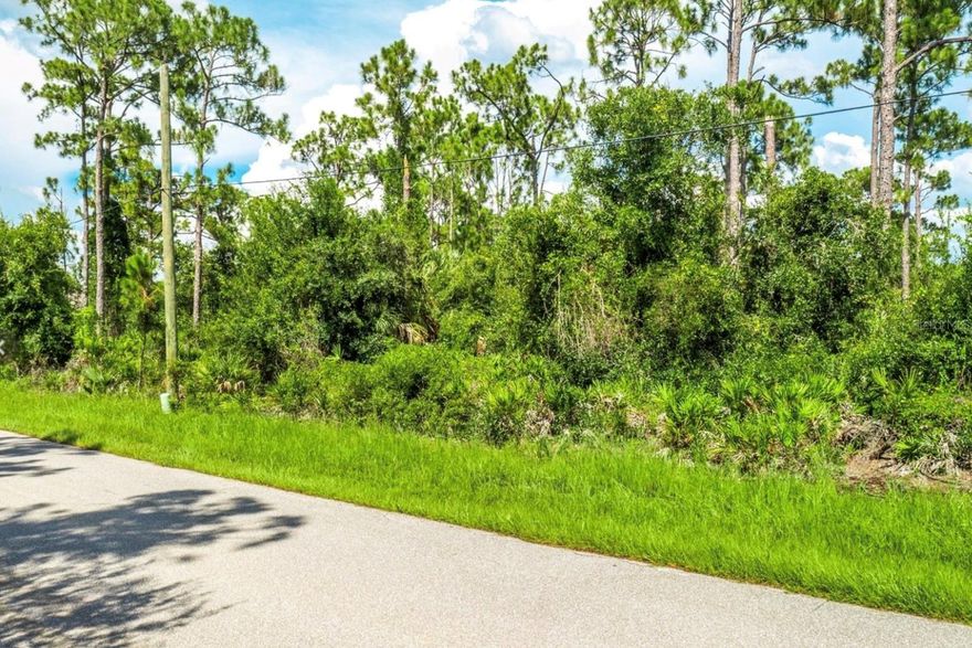 Come check out this ideally located lot in Port Charlotte that could become your dream SWFL home! This lot is conveniently located close to plenty or dining, shopping and entertainment. The Sunseeker Resort, Charlotte County Fairgrounds, Tampa Bays Stadium, Braves Stadium and the new Do The Beach indoor fun park will be enough to provide year round fun for the whole family. Do you want space for a large workshop? An RV garage? Boat Storage? Well the 2 adjacent lots are also for sale. You can buy 1, 2 or 3 lots to create your dream santuary! Don't miss out on this opportunity!