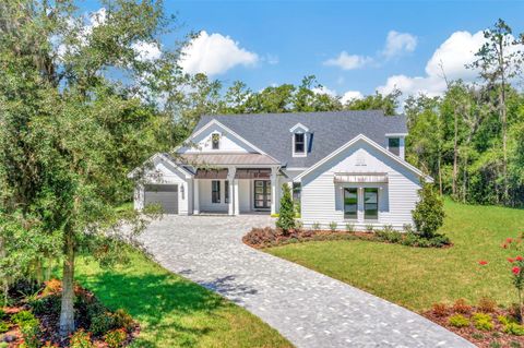 Photo of 17712 Royal Eagle Lane, Lutz, FL 33549 (MLS # U8246527)