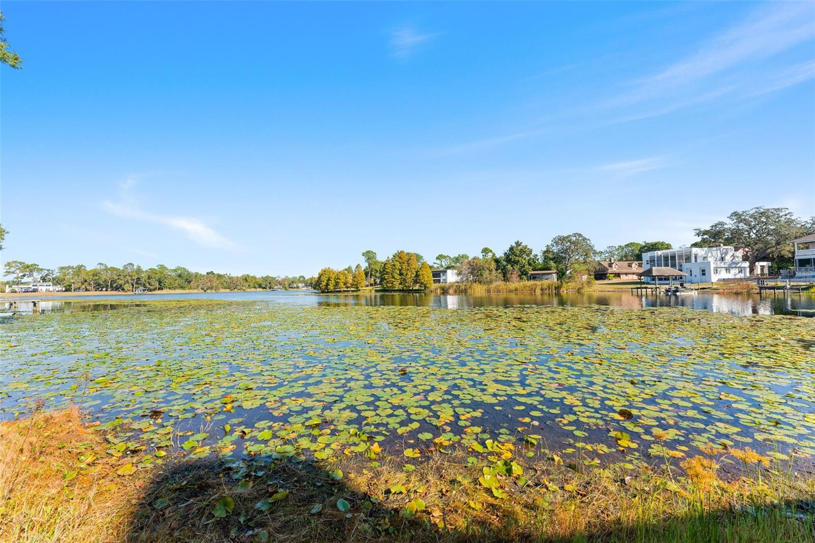 TIFFANY OAKS LAKESIDE CONDO - Residential