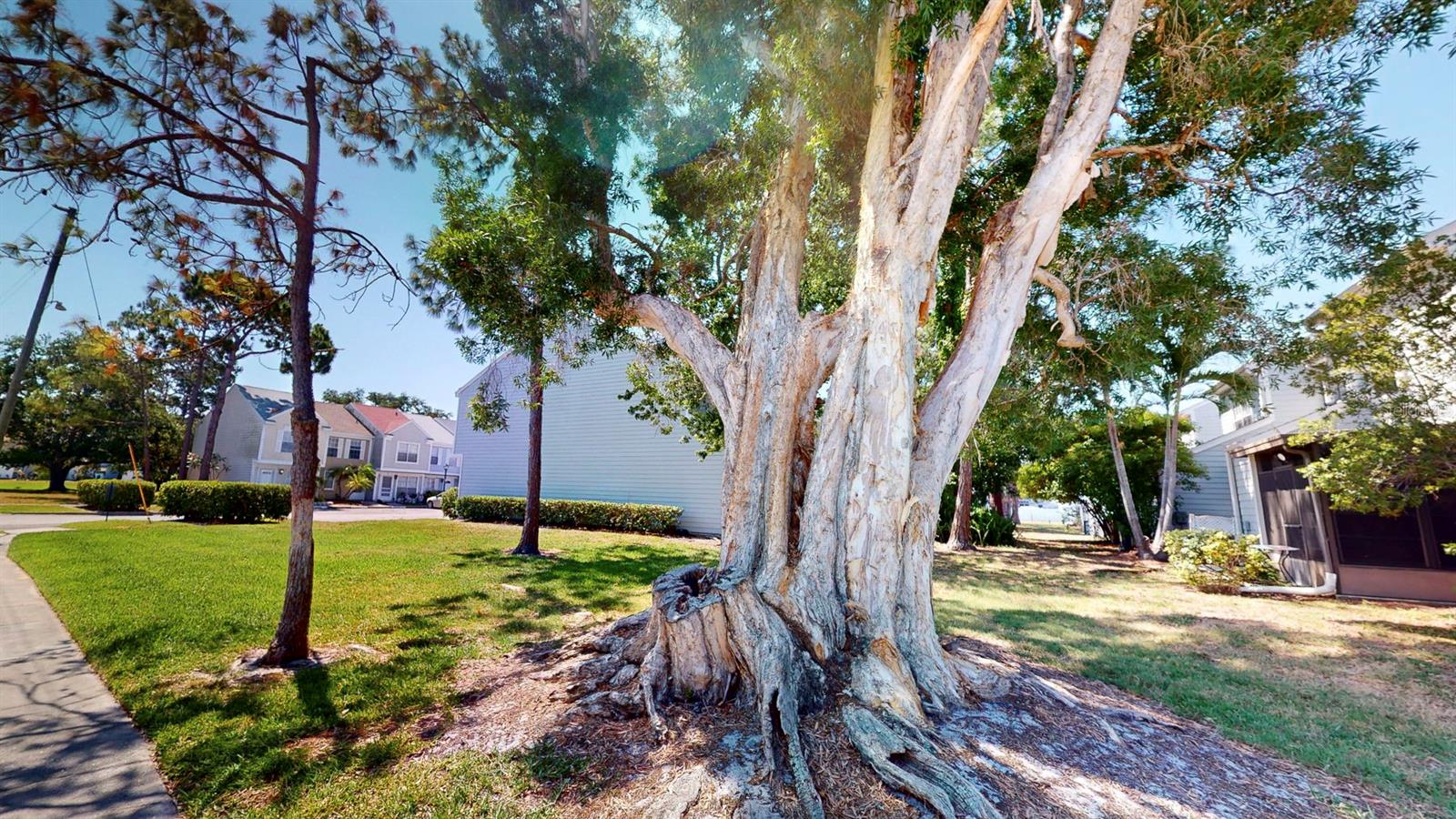 PINEBROOK ESTATES - Residential Lease