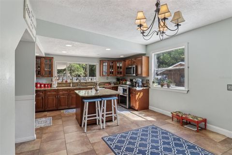 Tiny photo for 1048 N Grandview Street, Mount Dora, FL 32757 (MLS # G5101268)