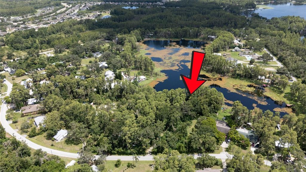Photo of 22048 Dupree Drive, Land O Lakes, FL 34639 (MLS # TB8413325)