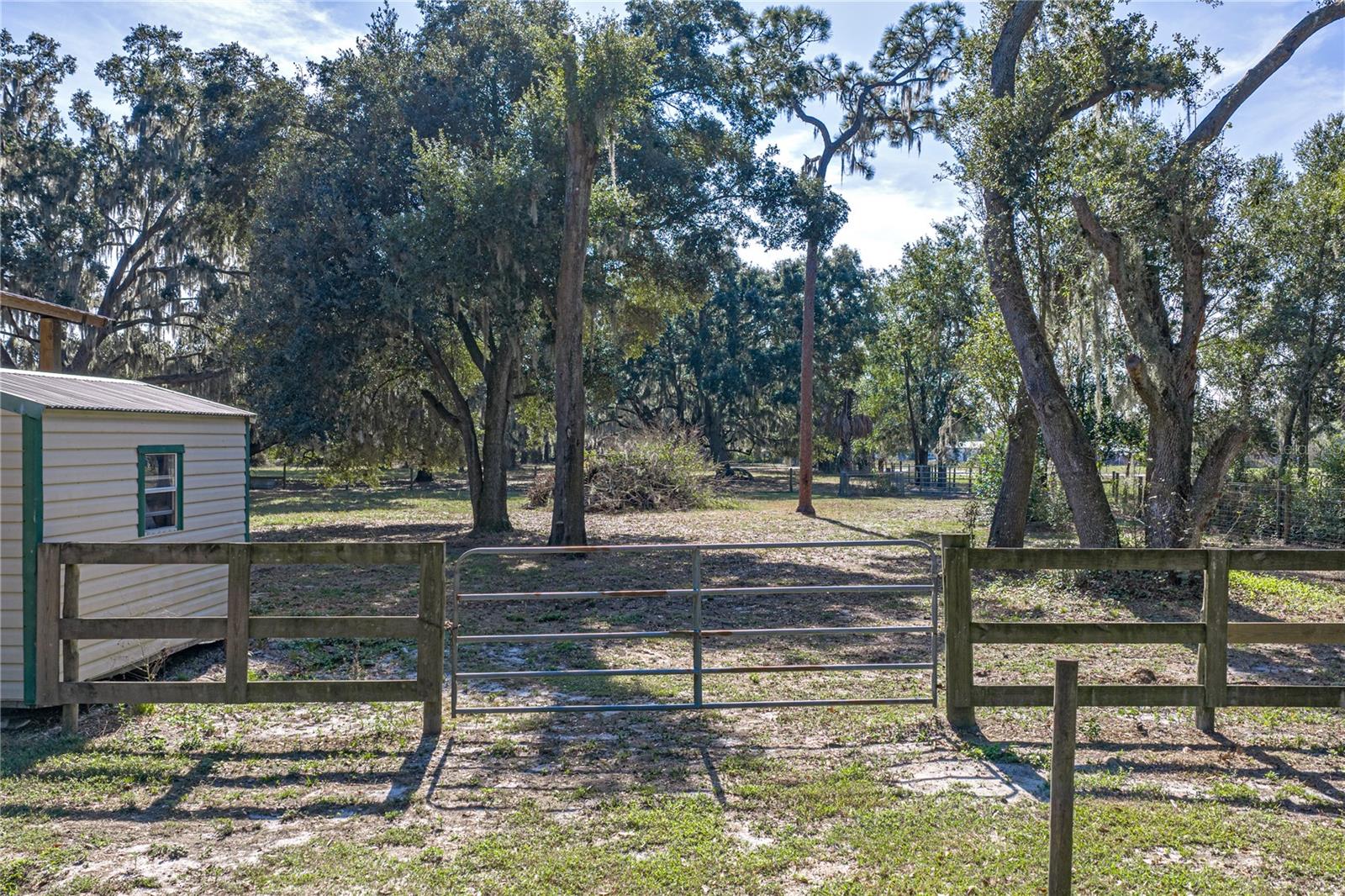 ACREAGE - Residential