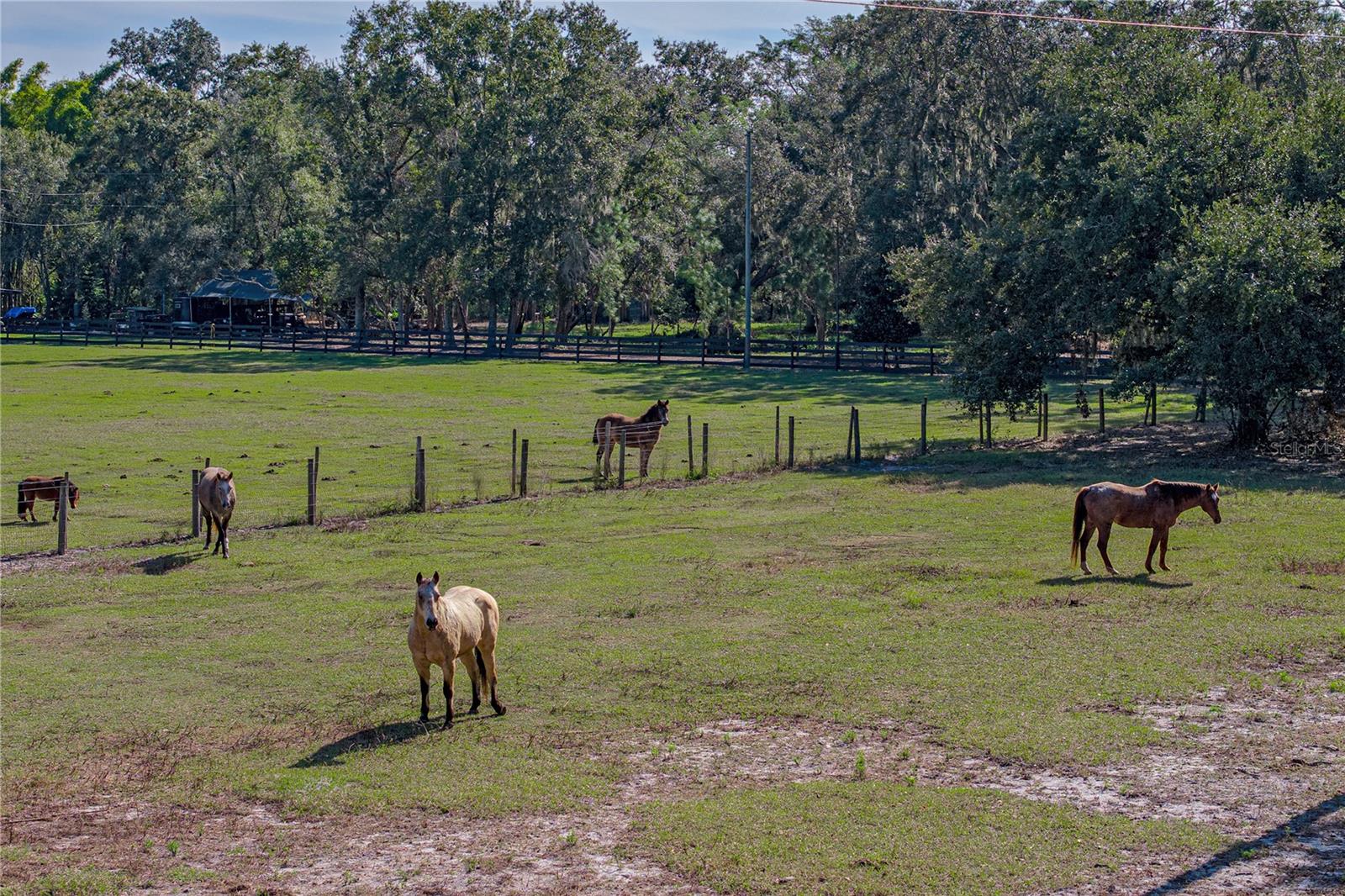ACREAGE - Residential