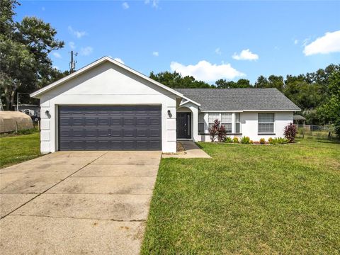 22101 N BUCKHILL ROAD HOWEY IN THE HILLS FL 34737