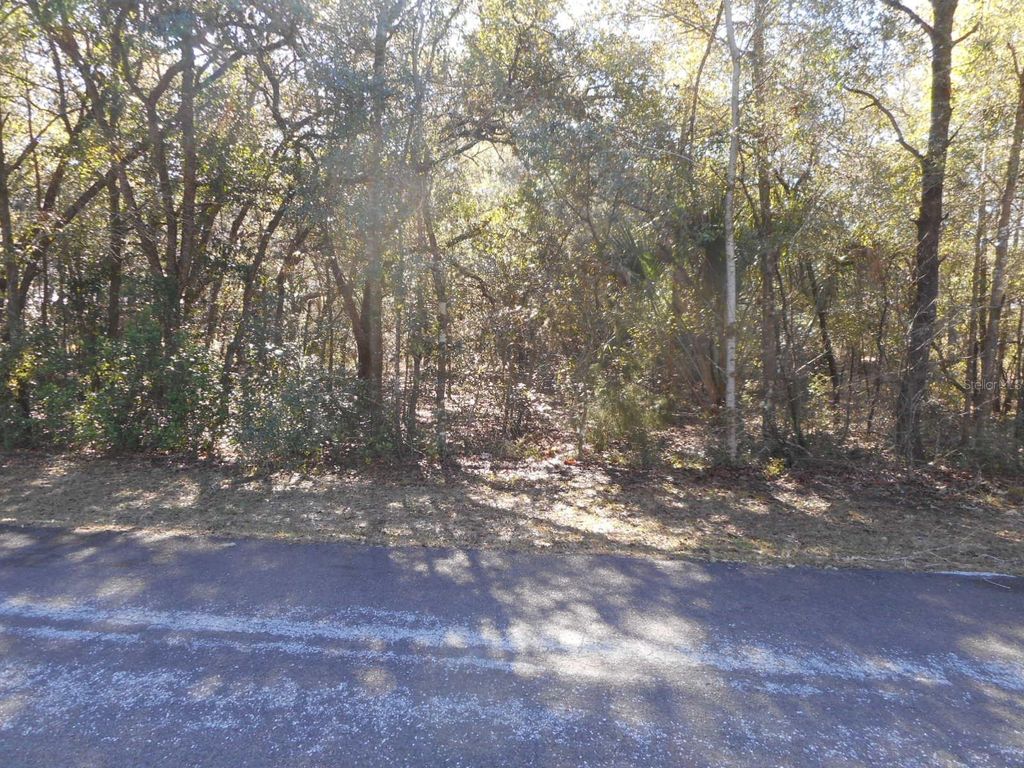 Photo of 609 N Brighton Road, Lecanto, FL 34461 (MLS # OM716864)