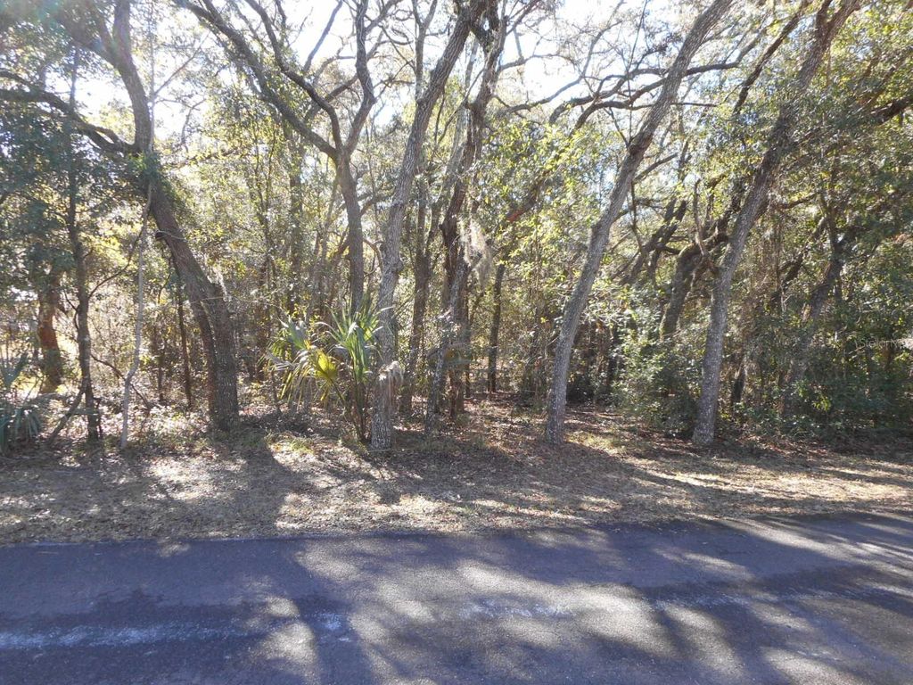 Photo of 609 N Brighton Road, Lecanto, FL 34461 (MLS # OM716864)