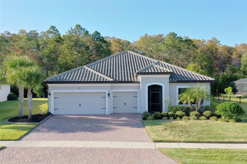 3061 AGOSTINO TERRACE KISSIMMEE FL 34746