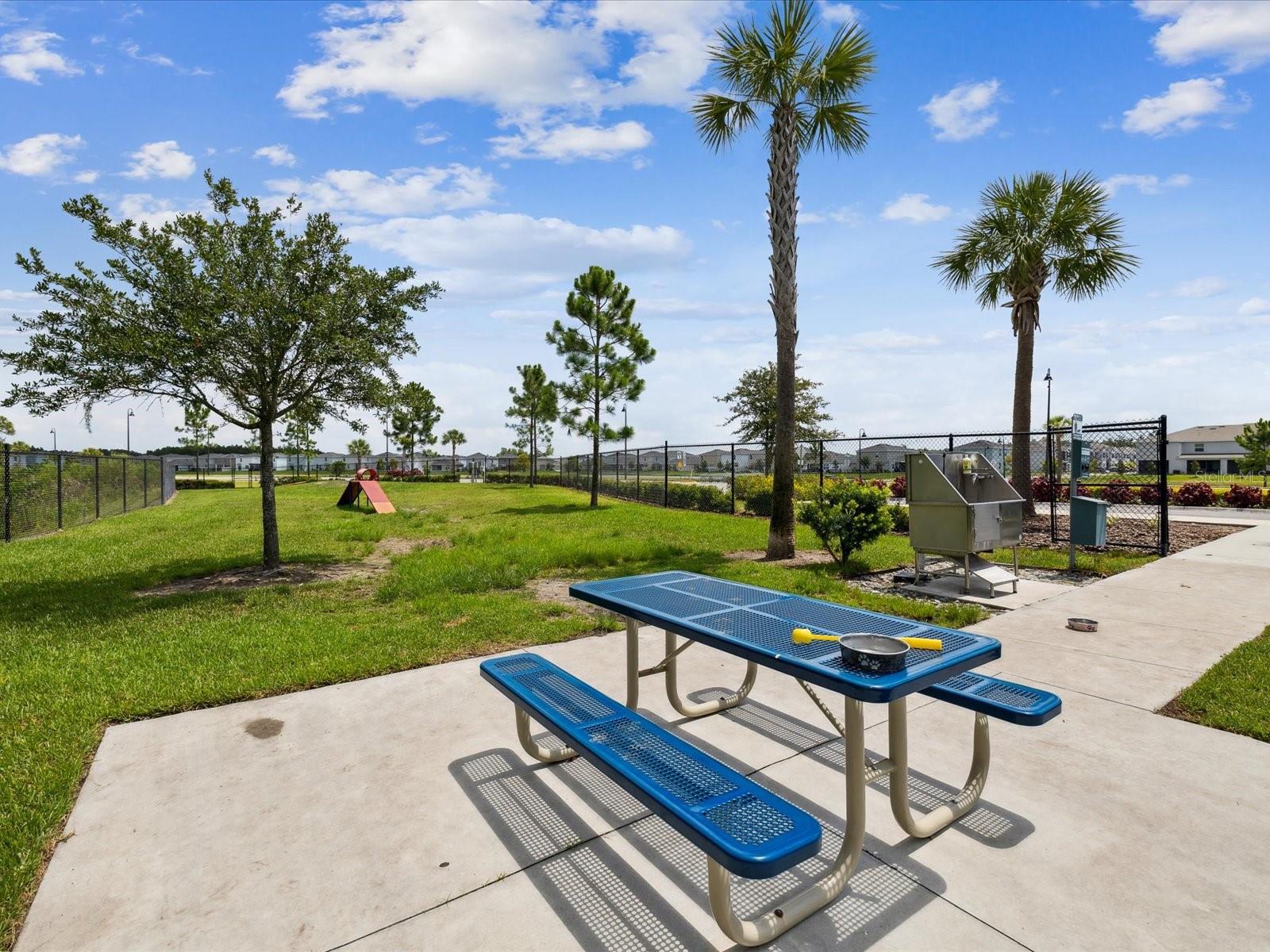 SOUTH BRANCH PRESERVE 1 - Residential