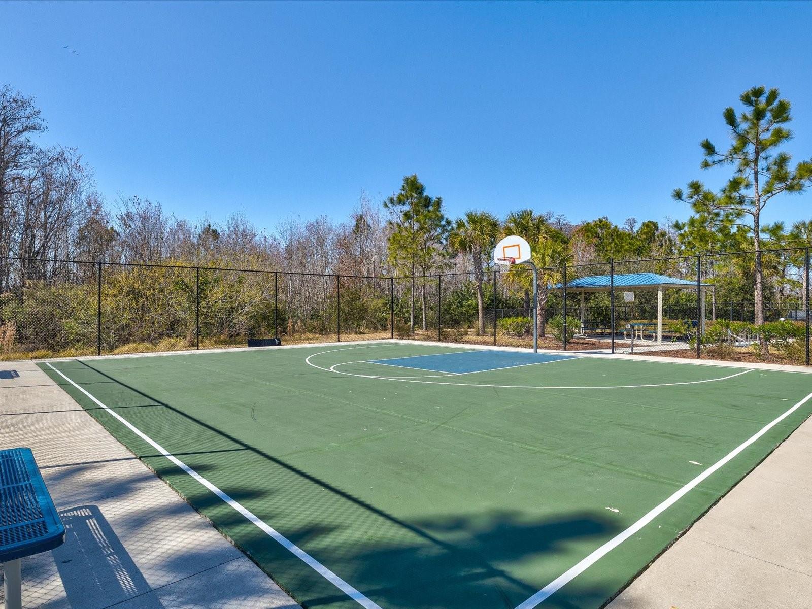 SOUTH BRANCH PRESERVE 1 - Residential