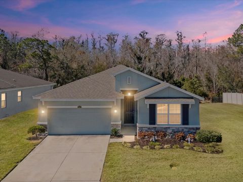 Photo of 2873 Storybrook Preserve Drive, Odessa, FL 33556 (MLS # W7882872)
