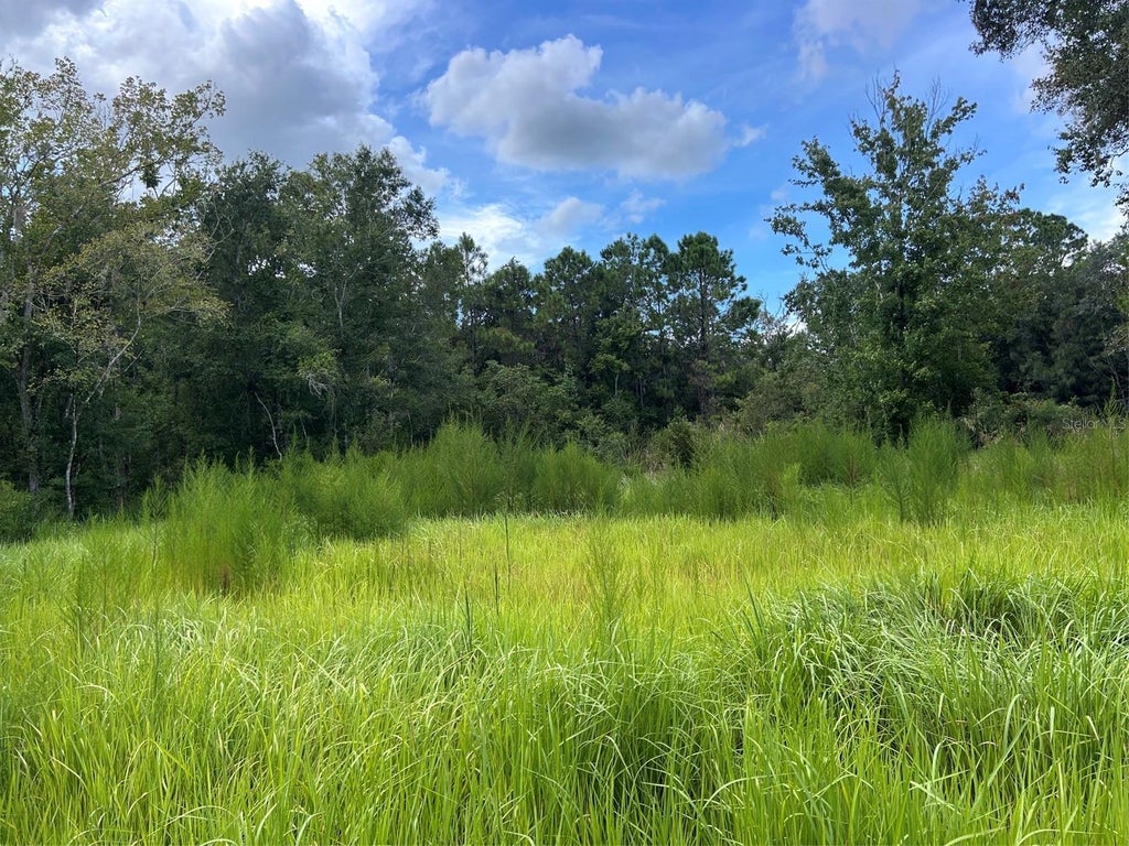 Photo of 11025 Tracey Court, New Port Richey, FL 34654 (MLS # W7889261)