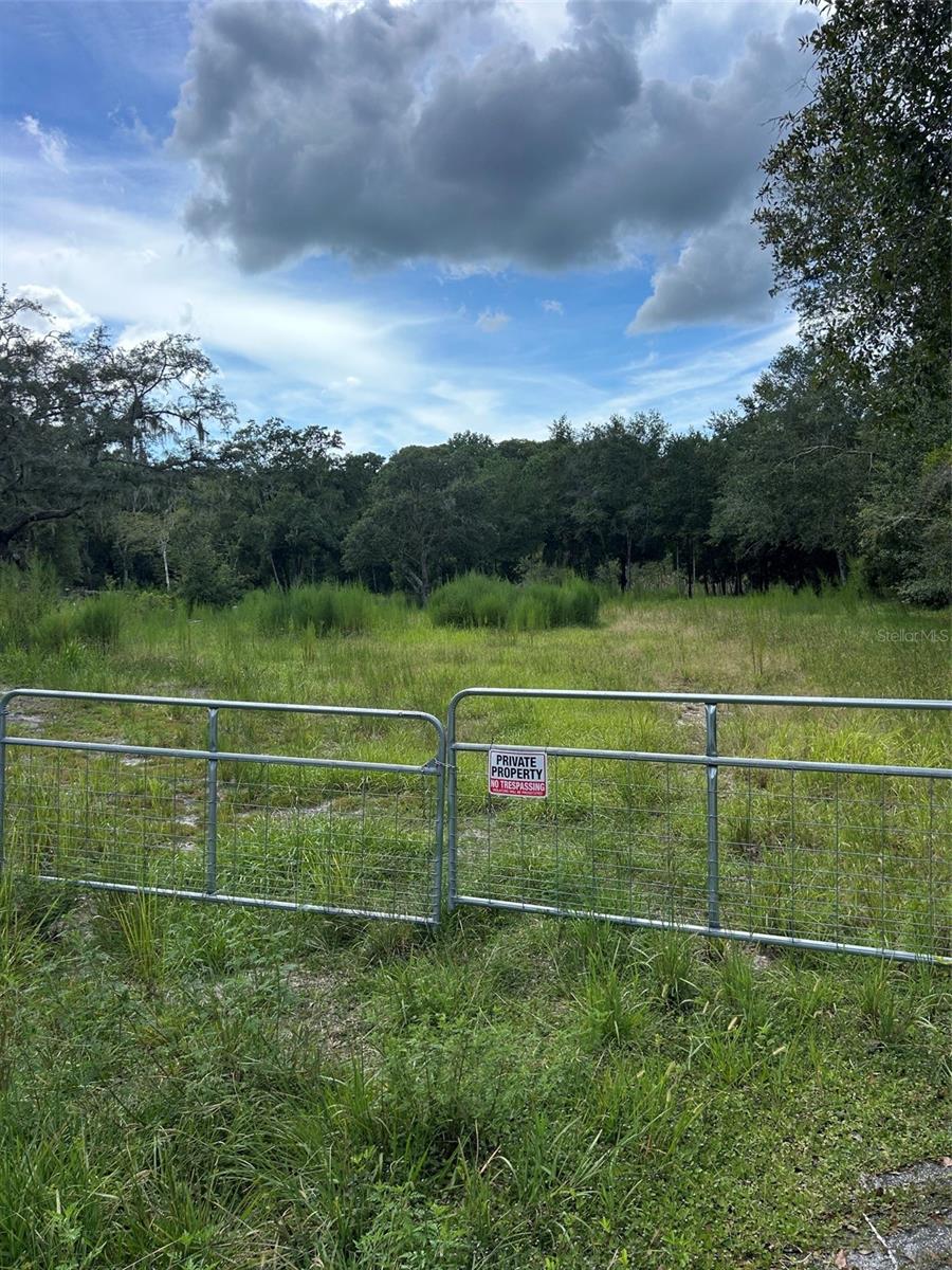 Photo of 11025 Tracey Court, New Port Richey, FL 34654 (MLS # W7889261)