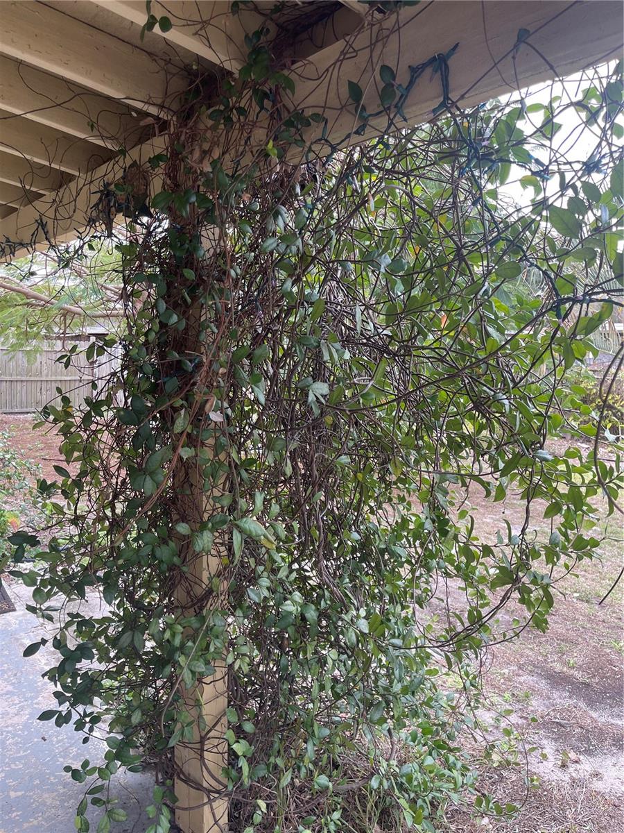 GANDY GARDENS 9 - Residential