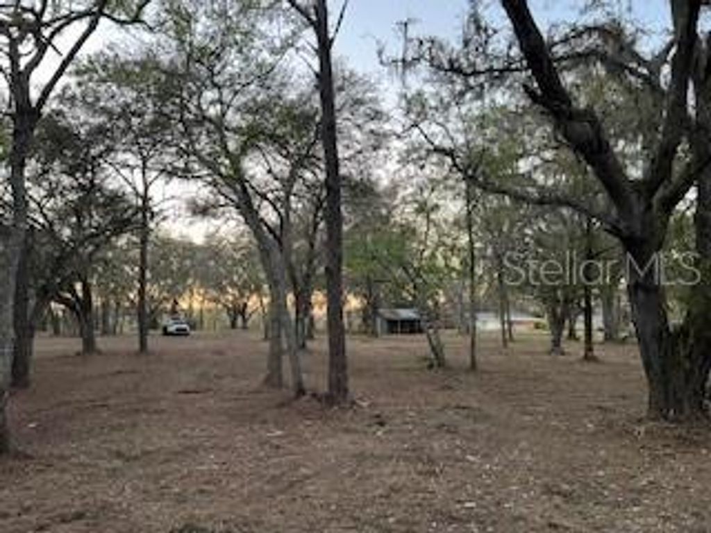 Photo of 16222 Livingston Avenue, Lutz, FL 33559 (MLS # TB8448622)