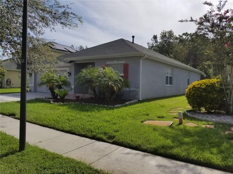 A home in TAMPA