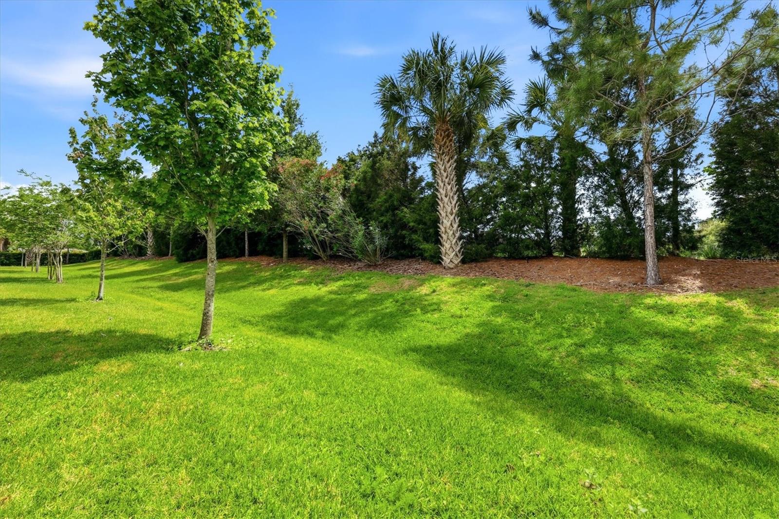 HARMONY AT LAKEWOOD RANCH - Residential
