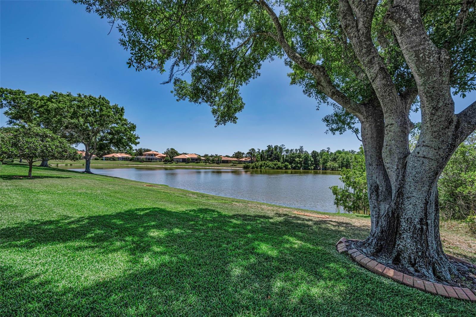 CHAMPIONS CLUB - Residential