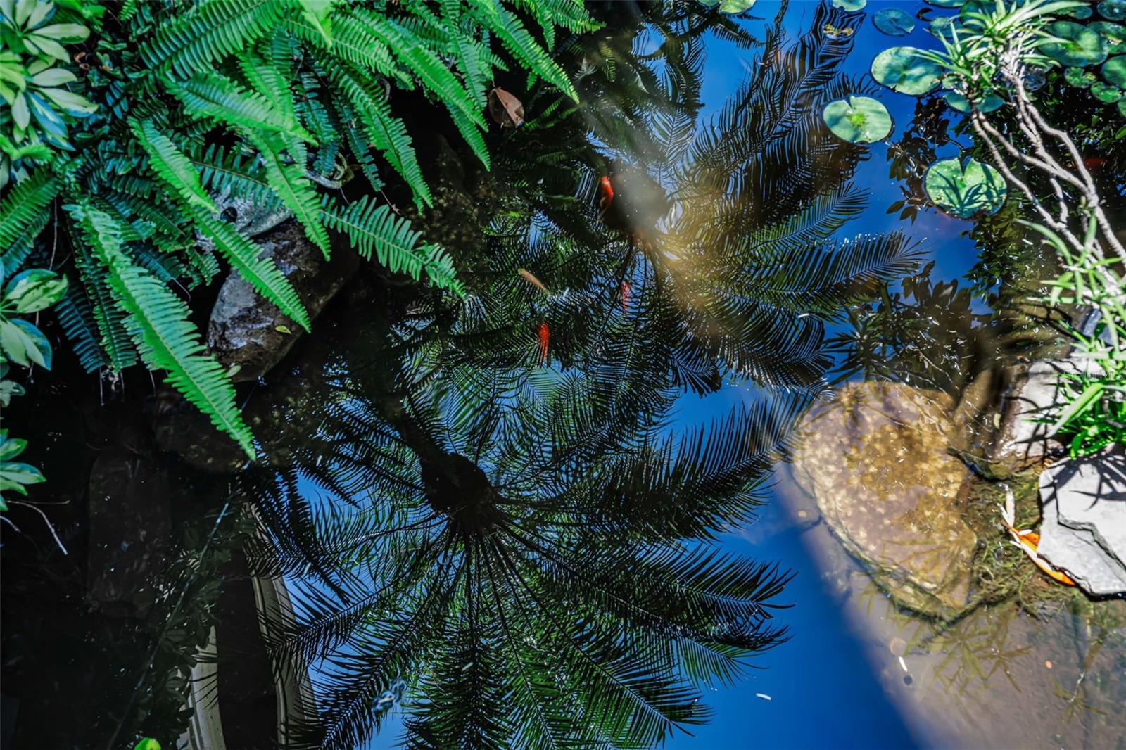 CHAMPIONS CLUB - Residential