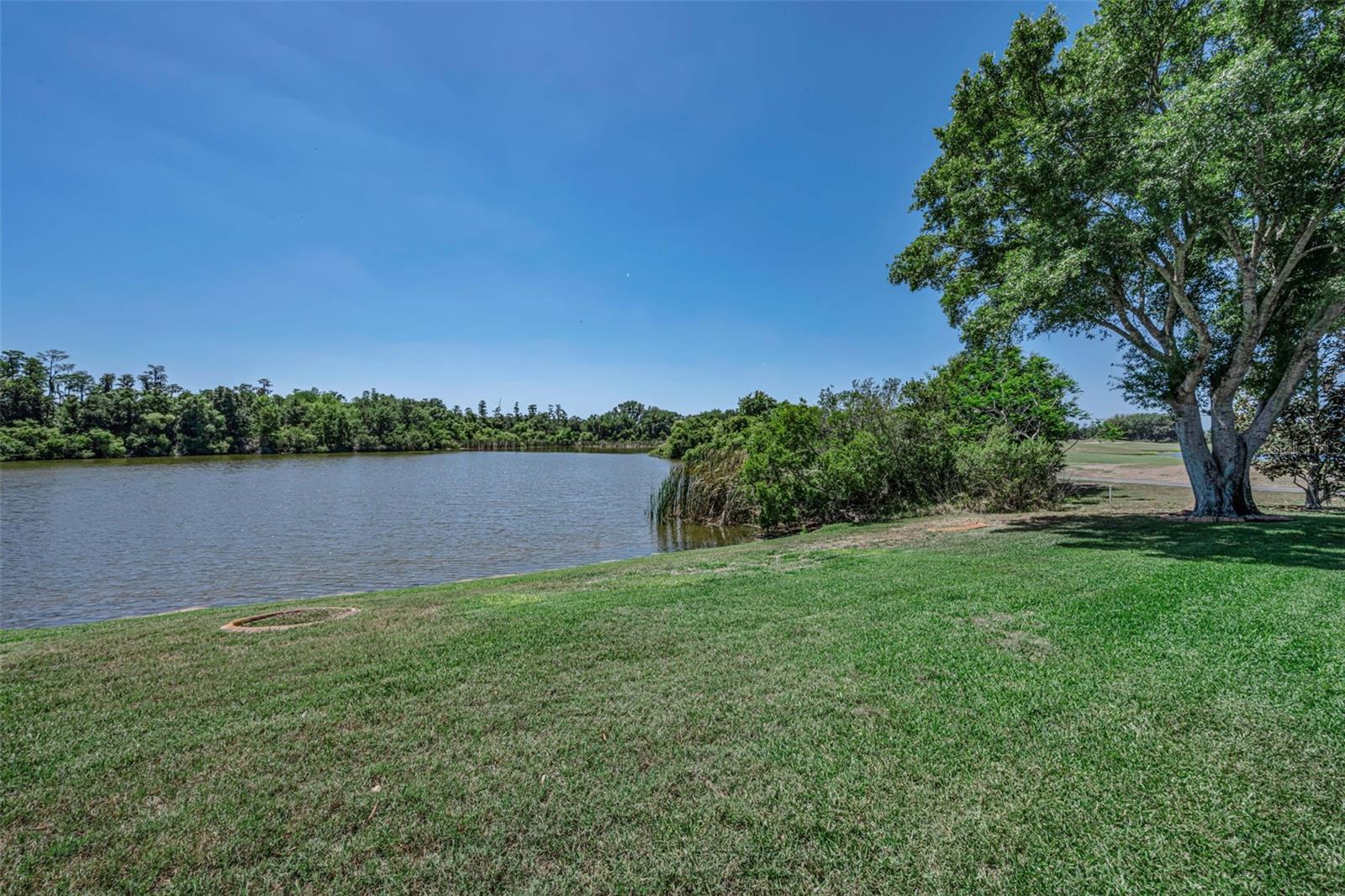 CHAMPIONS CLUB - Residential