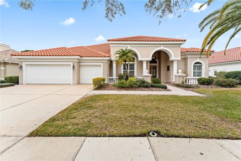 A home in TAMPA