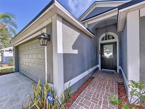 A home in APOLLO BEACH